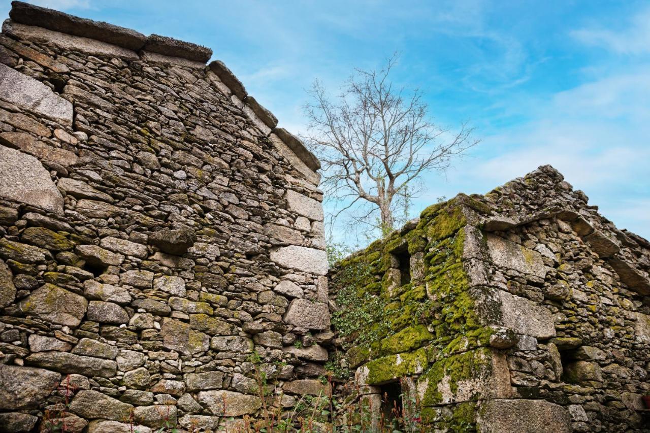 Melgaço Casa Do Regoヴィラ エクステリア 写真